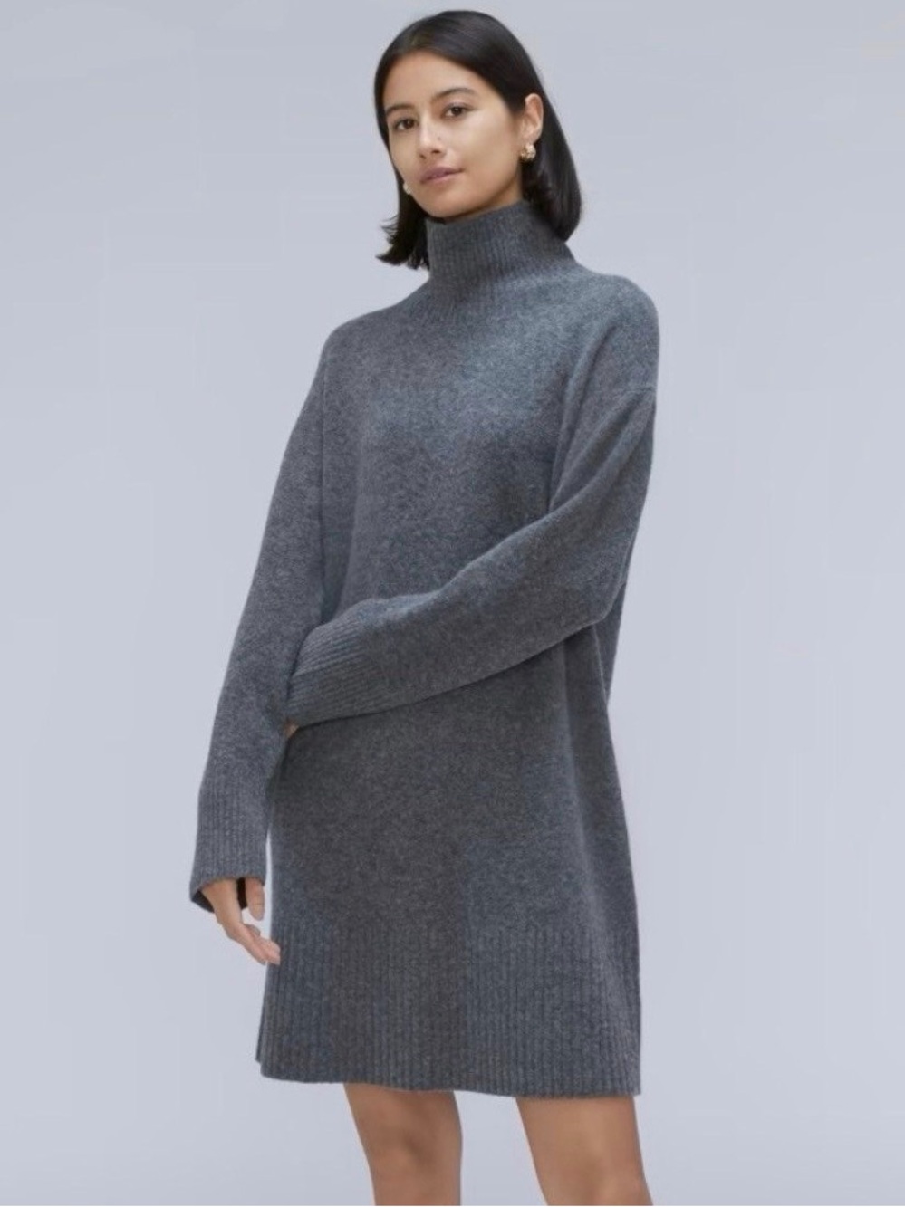 Everlane wool yak hair gray turtleneck sweater dress Cozy Stretch Fall XL
